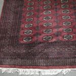 612 2609 ORIENTAL RUG